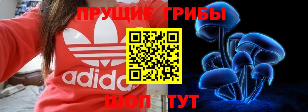 Псилоцибиновые грибы Cubensis  Вход с VPN  Муром 